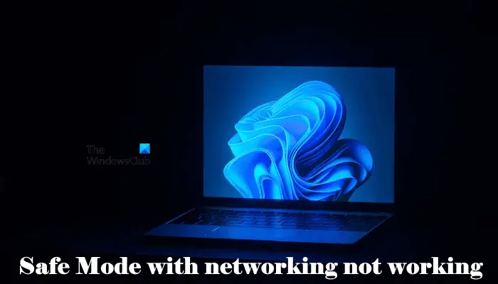 Safe Mode with networking not working